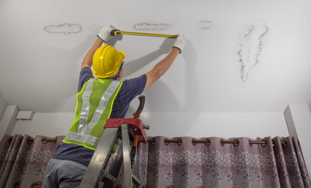 How Fast Mold Can Grow After Water Damage in Tennessee Homes